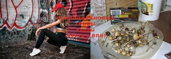 таблы Алзамай